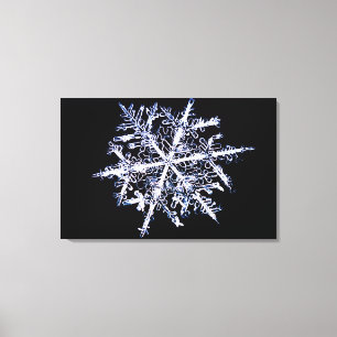 Snowflake 5 canvas print