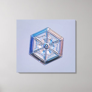 Snowflake 8 canvas print