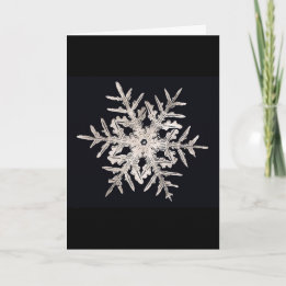 Snowflake Bentley Genius Xmas Card