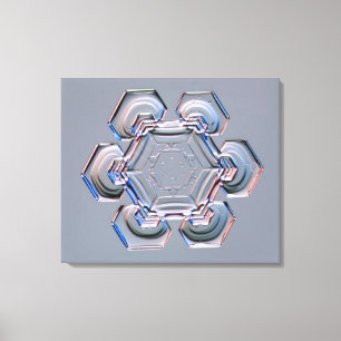 Snowflake Canvas Print