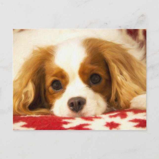 Snowflake Cavalier King Charles Spaniel Post Card (Front)