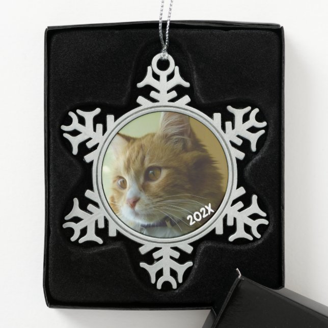 Snowflake classique Photo Datée Ornement d'arbre d (Boîte)