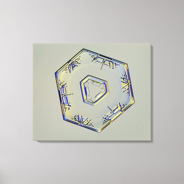 Snowflake Crystal 2 Canvas Print (Front)