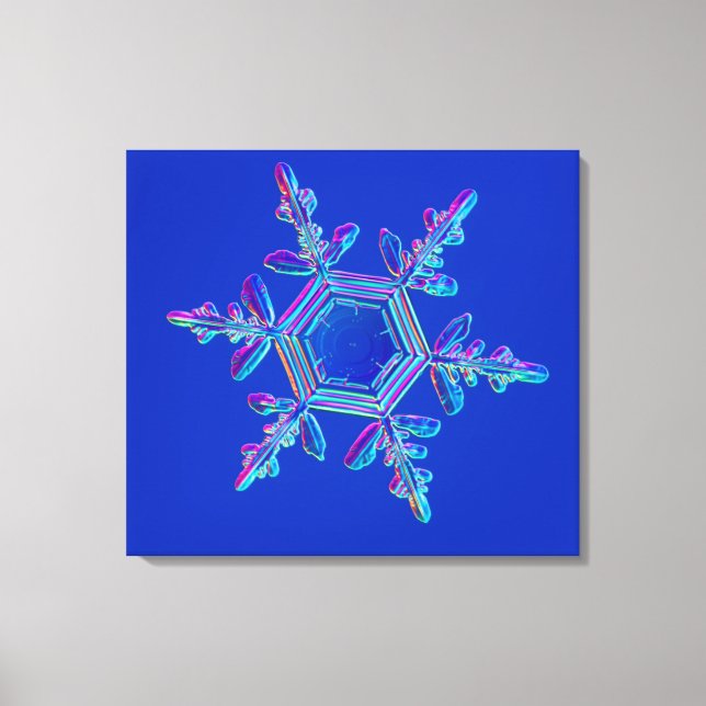 Snowflake Crystal 4 Canvas Print (Front)