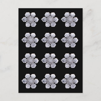 Snowflake Crystal Photos Postcard