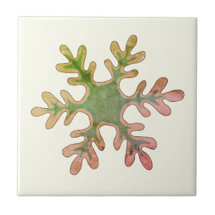 Snowflake Green Red Winter Holiday Christmas Tile