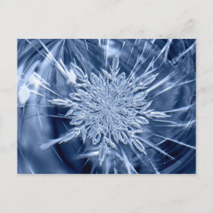 Snowflake Ice Crystal Postcard