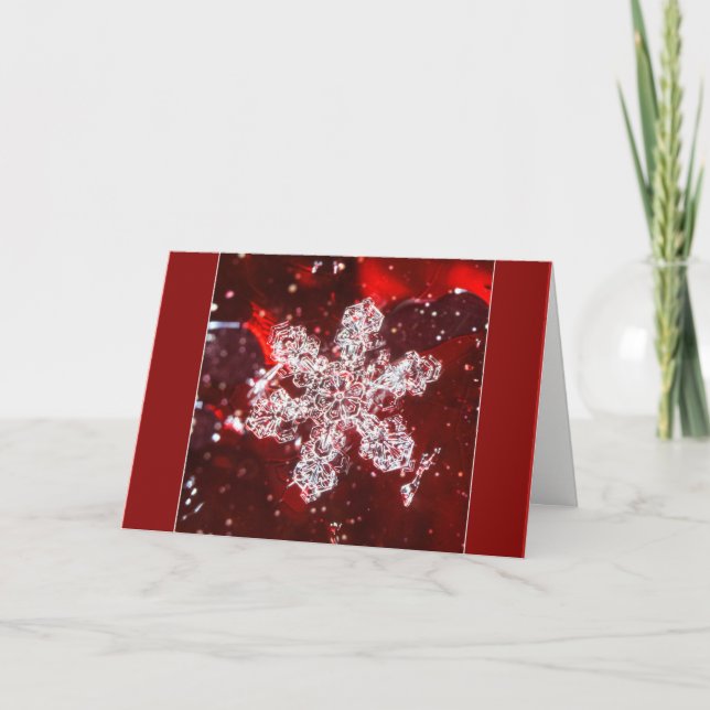 Snowflake Macro Photo Red add your own text Card (Front)