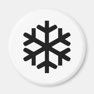 Snowflake Magnet
