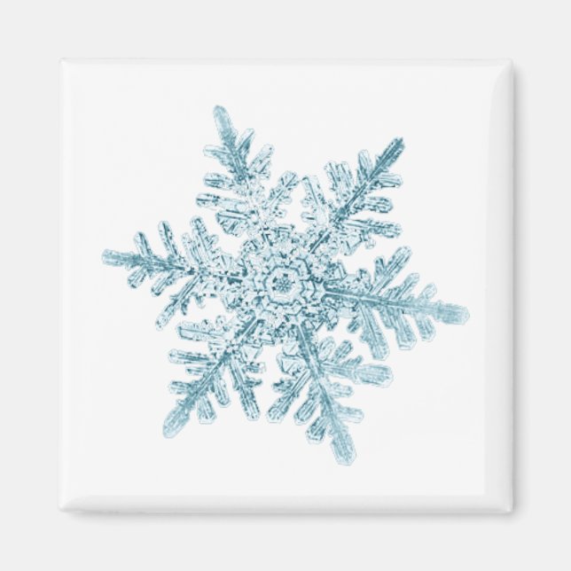 Snowflake Magnet (Front)