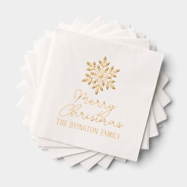 Snowflake Script Holiday Grey Nom de famille (Insitu (empilé))