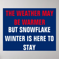 Snowflake Winter is Here Resist Persist Protest
