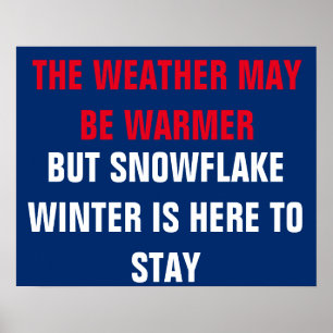 Snowflake Winter is Here Resist Persist Protest Poster