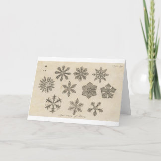 Snowflakes - 1791 holiday card