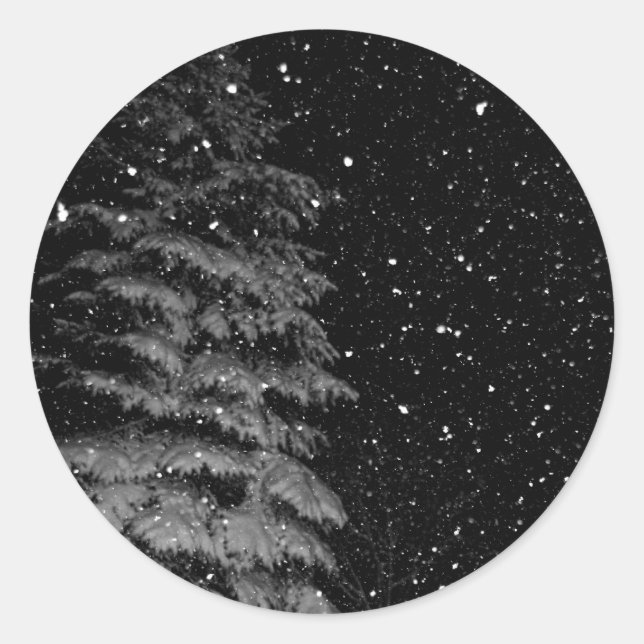 snowflakes at night  unique photograph classic round sticker (Front)