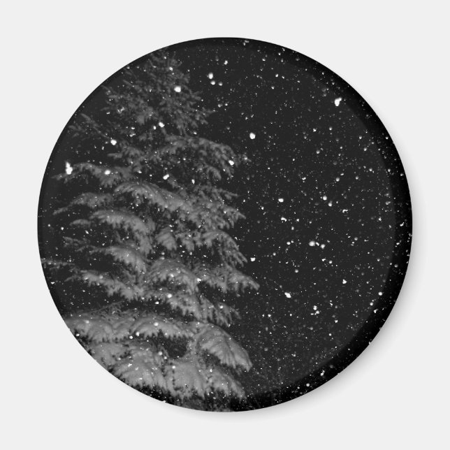 snowflakes at night  unique photograph magnet (Front)