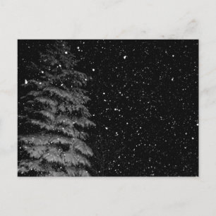 snowflakes at night  unique photograph postcard