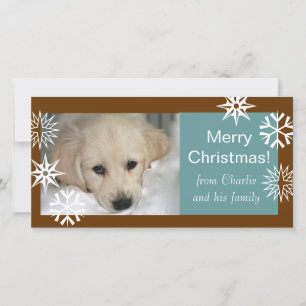 Snowflakes Dog Christmas Photo Cards Brown Blue