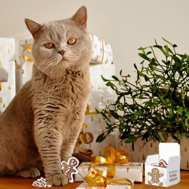 Snowflakes & Gingerbread Cookie Holiday Christmas  Favor Box (Creator Uploaded)