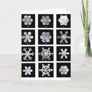 Snowflakes Holiday Card