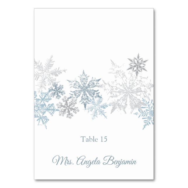 Snowflakes Mariage d'hiver Elégante carte de place (Par défaut)