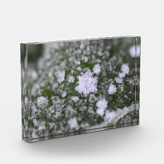 Snowflakes  photo block