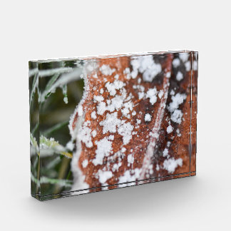 Snowflakes  photo block