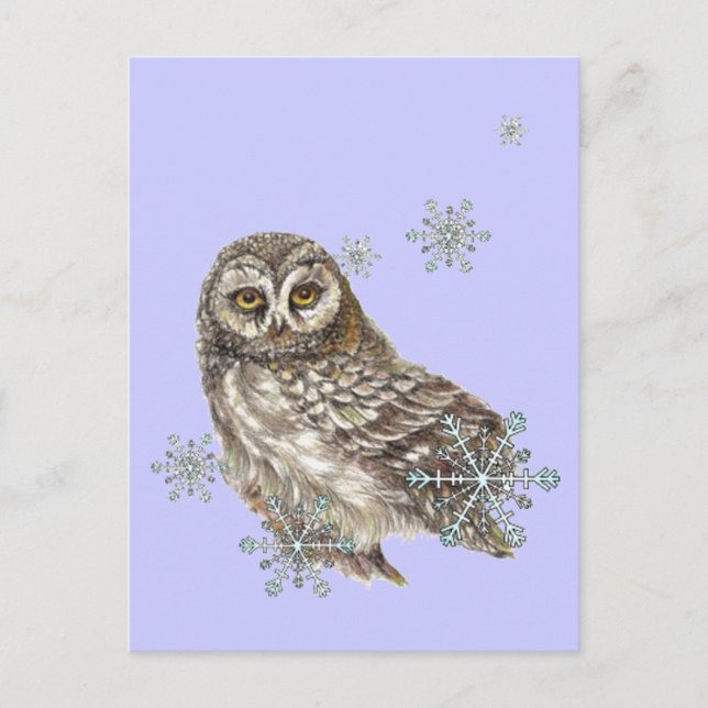 Snowflakes Winter Owl, Watercolor Bird Postcard (Front)