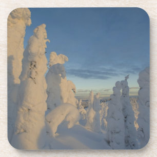 Snowghosts at sunset at Whitefish Mountain 2 Coaster