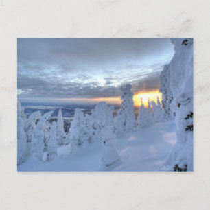 Snowghosts at sunset at Whitefish Mountain Postcard