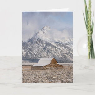 "Snowkissed" Holiday Card
