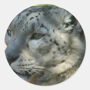 snowleopard classic round sticker
