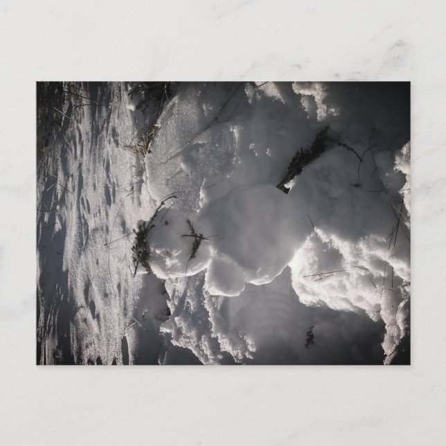 Snowman Photo  Postcard (Front)