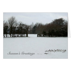 Snowscape Season's Greetings Card