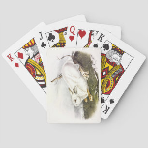 Snowshoe Hare, winter (Northern Hare) by Audubon Playing Cards