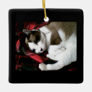 snowshoe tartan kitty ceramic ornament
