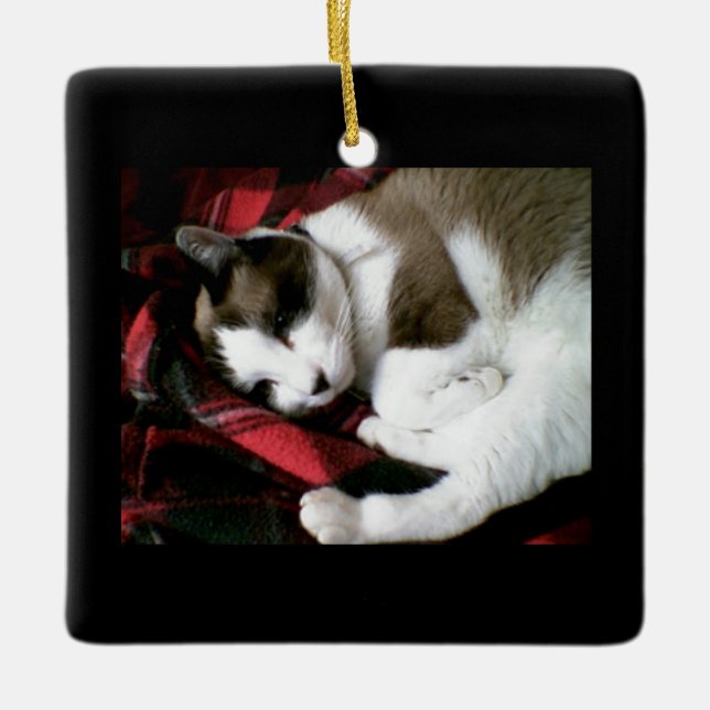snowshoe tartan kitty ceramic ornament (Front)