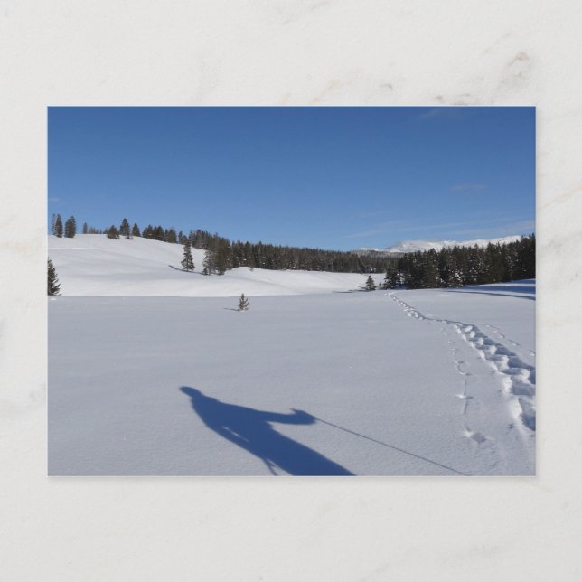 Snowshoeing in Yellowstone National Park Postcard (Front)