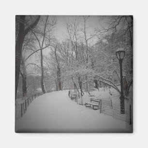 Snowstorm, Central Park, New York City Magnet