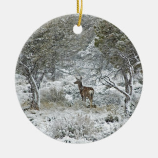 Snowstorm Ceramic Ornament