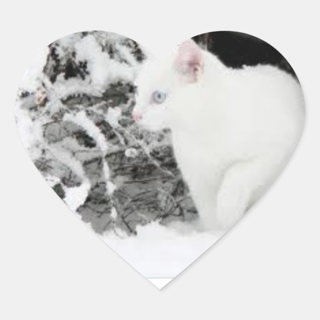 Snowstorm love sticer heart sticker (Front)