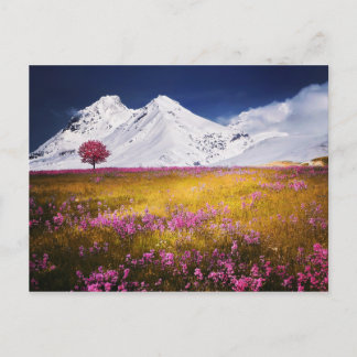 Snowy Alps Postcard
