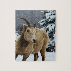 Snowy Animal 8x10 Photo Puzzle