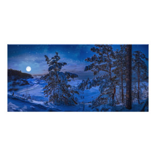 Snowy Baltic sea coast with fir tree in night Photo Print