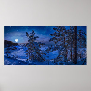 Snowy Baltic sea coast with fir tree in night Poster