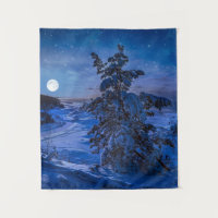 Snowy Baltic sea coast with fir tree in night