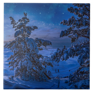 Snowy Baltic sea coast with fir tree in night Tile