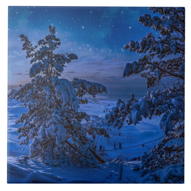 Snowy Baltic sea coast with fir tree in night Tile (Front)