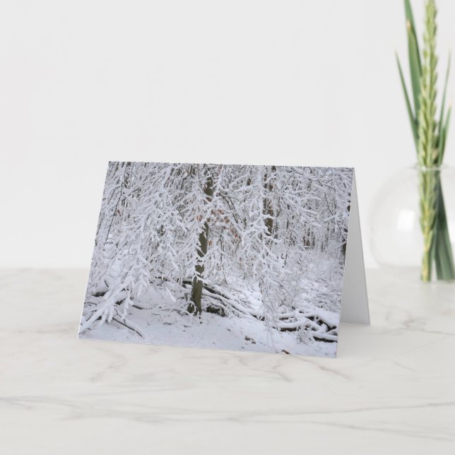 Snowy Birch Tree Canopy Card (Front)