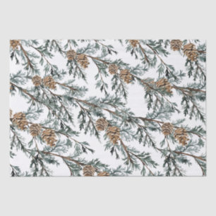 Snowy Blue Juniper Tree Branches & Cones Tissue Paper